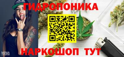 амф Ярцево