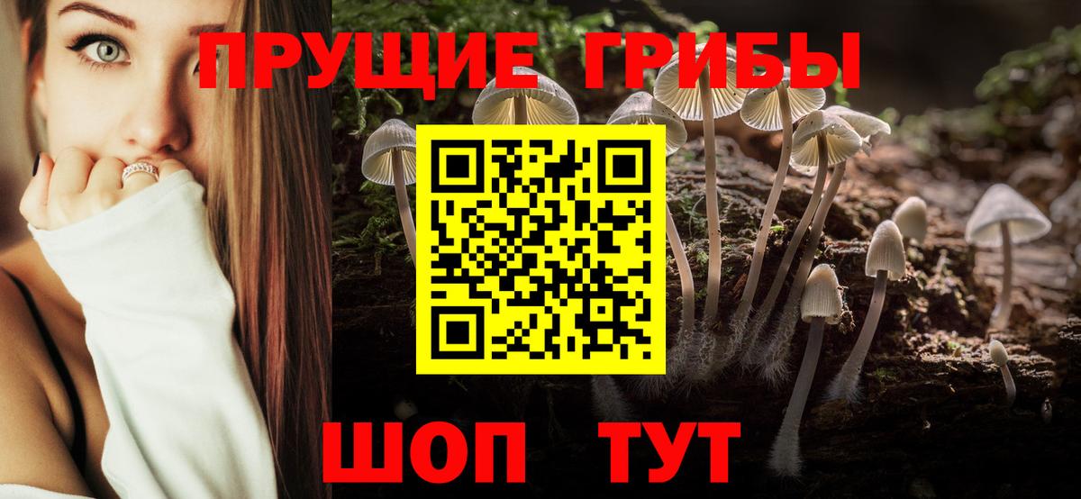 Псилоцибиновые грибы Cubensis Ипатово