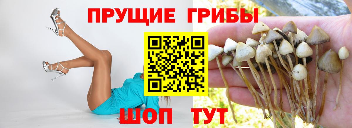Галлюциногенные грибы Magic Shrooms  Вход с VPN  Ипатово  Галлюциногенные грибы прущие грибы 